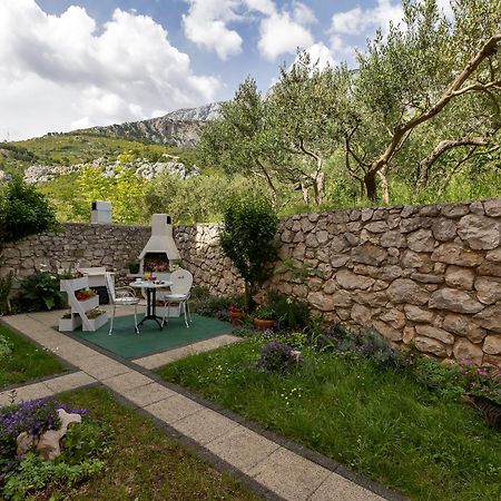 Apartments Villa Katarina Tučepi المظهر الخارجي الصورة